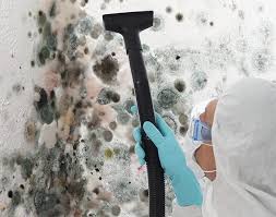 Mold Remediation for Vacation Homes in Audubon, IA